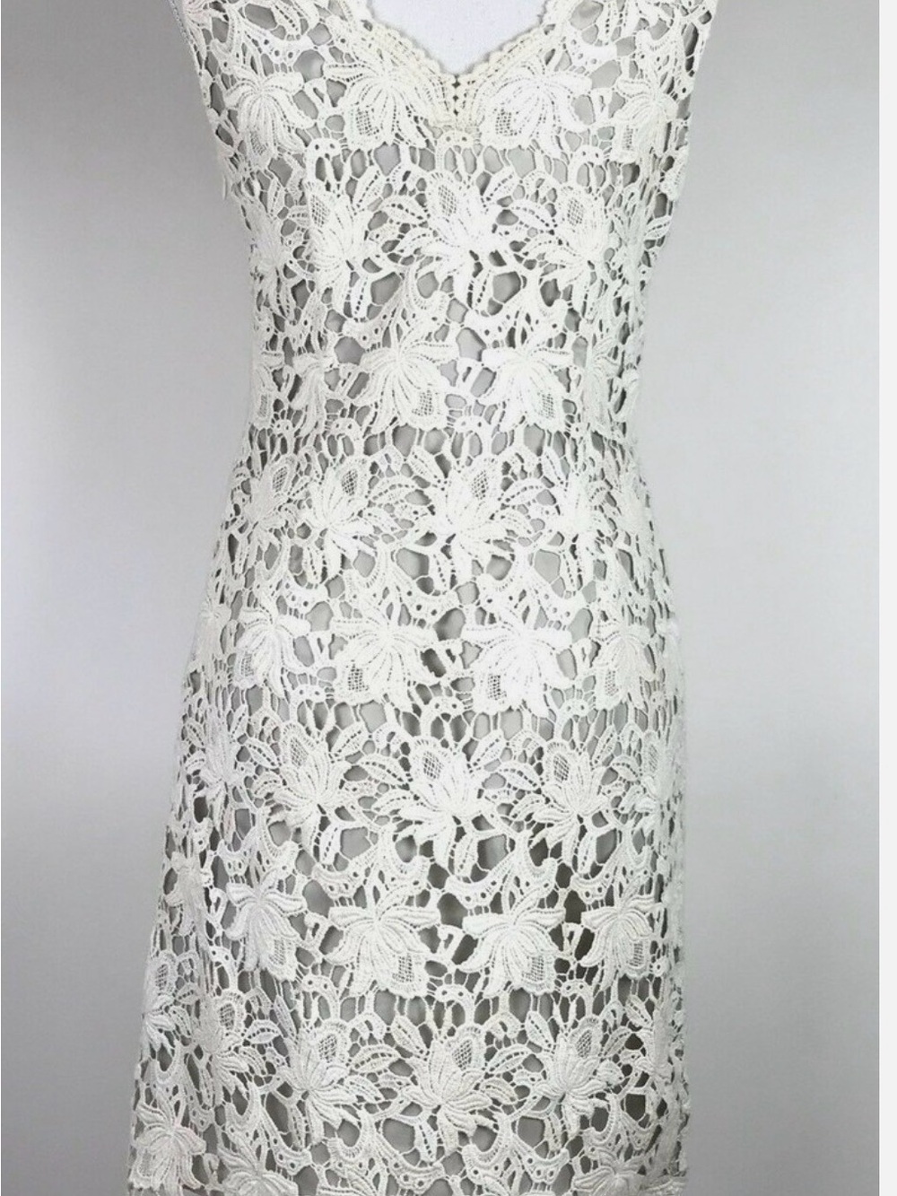 Ann Taylor Crochet dress Sz 4 Vintage Lace Sheath